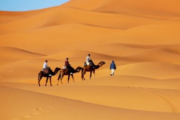 Best 11 Days Morocco Desert Tour from Tangier