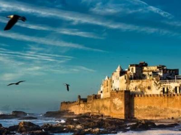 Best Essaouira Day Trip from Marrakech