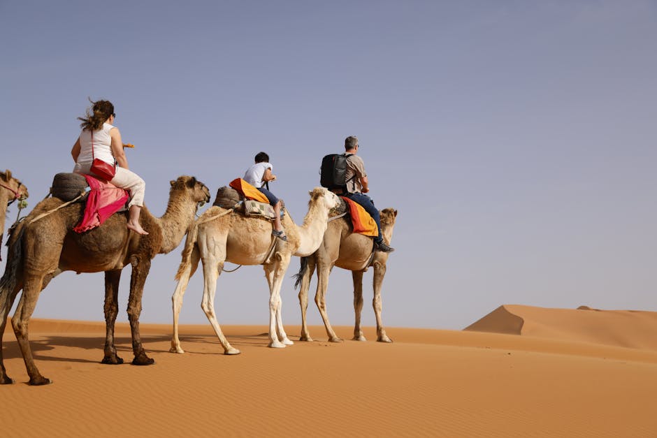 Morocco with kids — Morocco with Kids: The Complete Family Travel