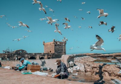 Essaouira Travel Guide: Morocco’s Atlantic Gem (2026)