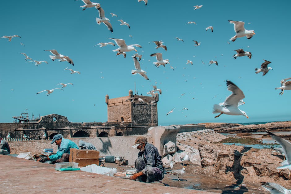 Essaouira travel guide — Essaouira Travel Guide: Morocco's Atlantic Ge